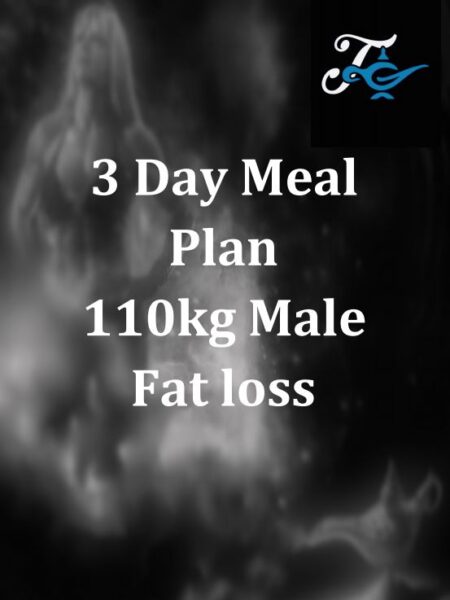 110kg Male Fat Loss