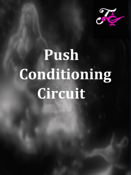 Push Conditioning Circuit